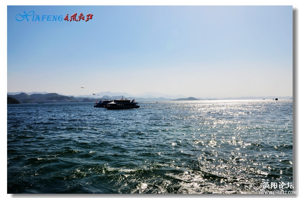 DSC_5894.jpg