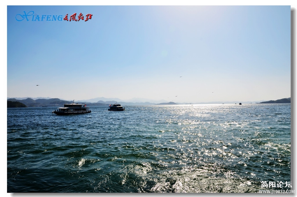DSC_5896.jpg