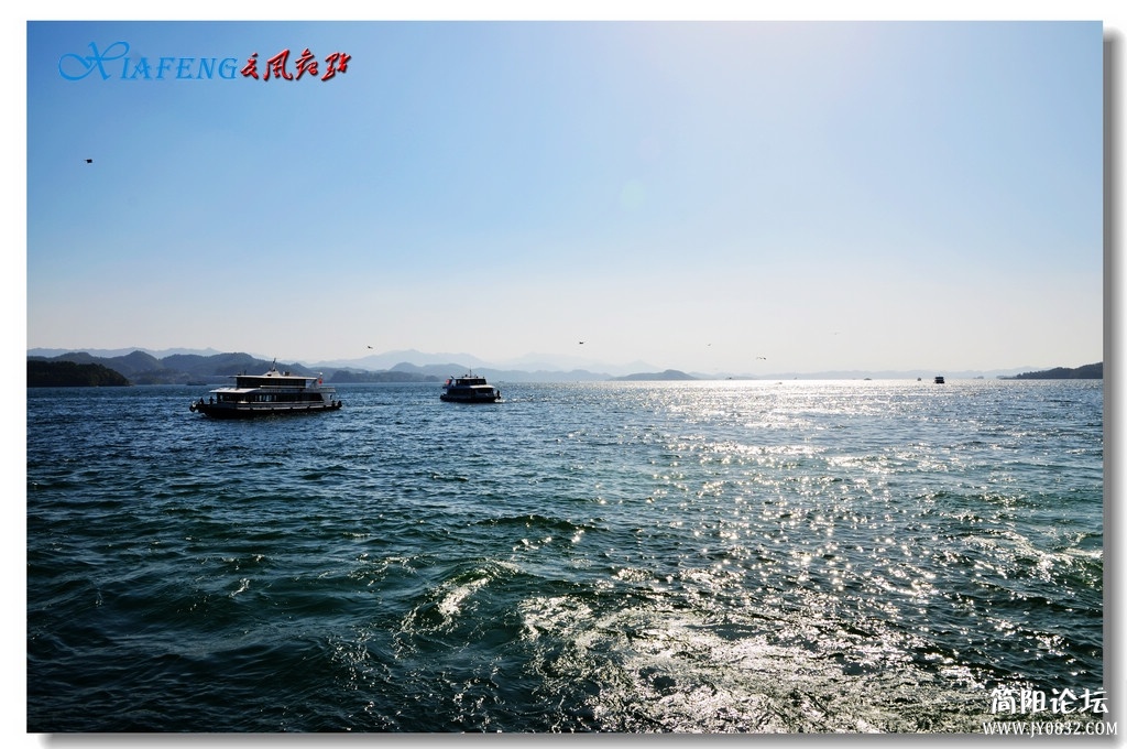 DSC_5897.jpg