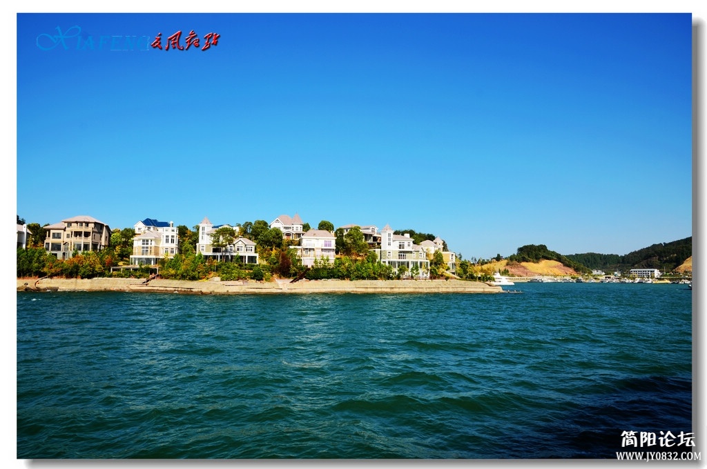 DSC_5931.jpg