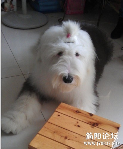 未命名.jpg