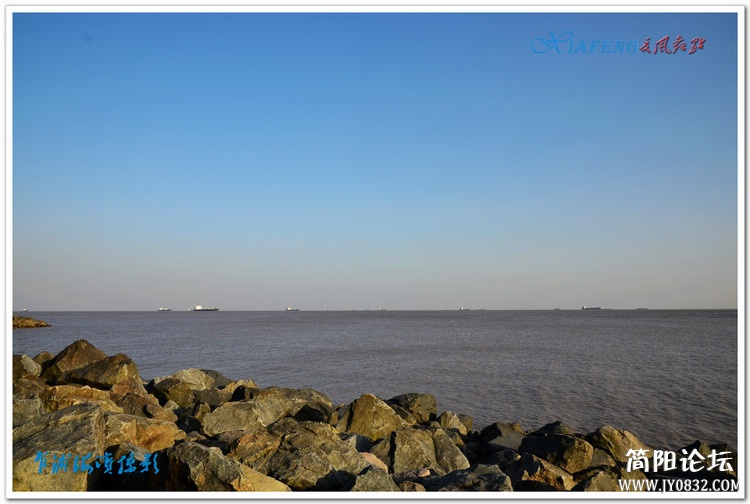 DSC_5980.jpg