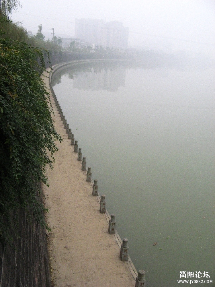 IMG_1033.jpg