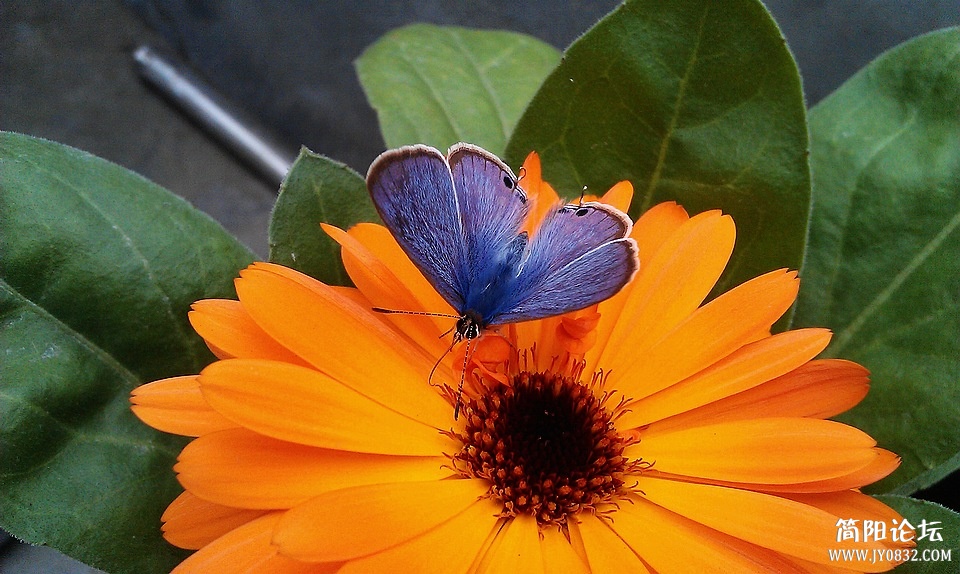 nEO_IMG_IMAG0505.jpg