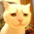 44_avatar_middle.jpg