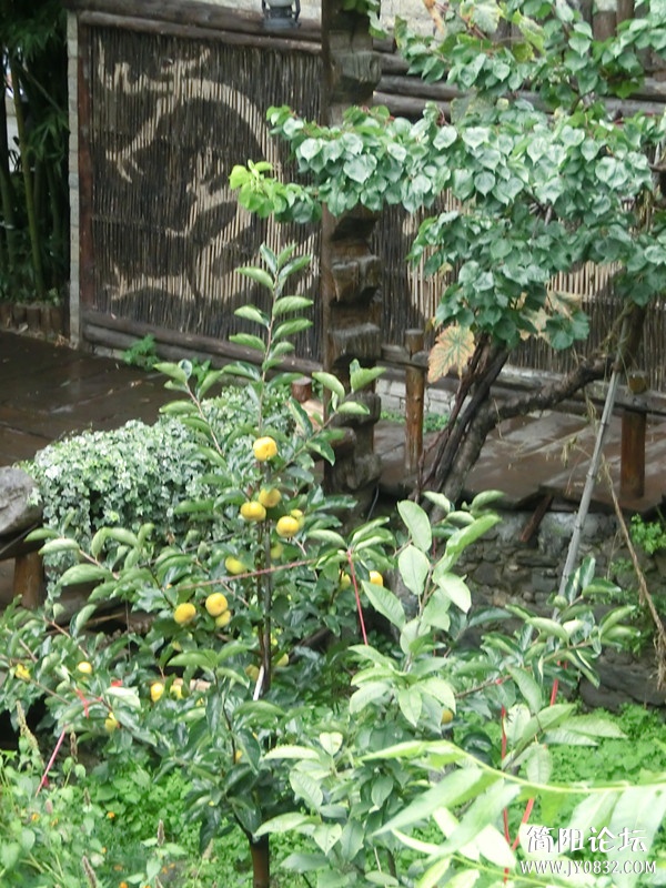 15.jpg
