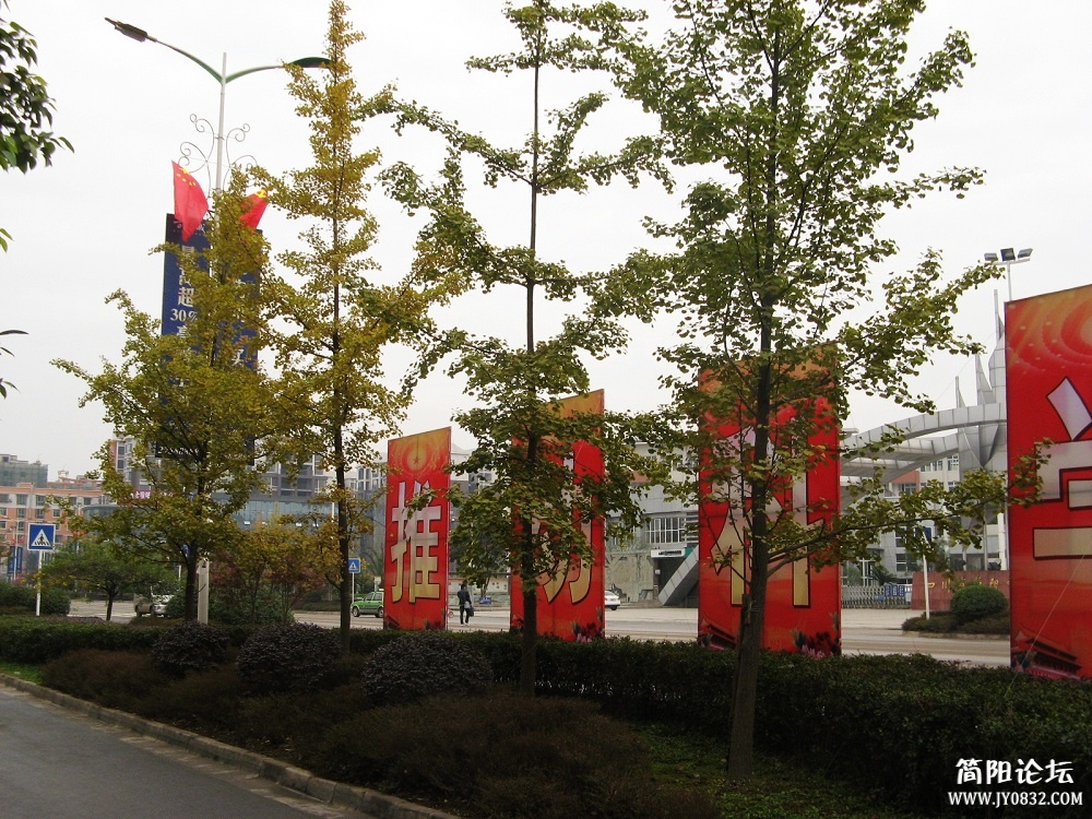 IMG_1045.jpg