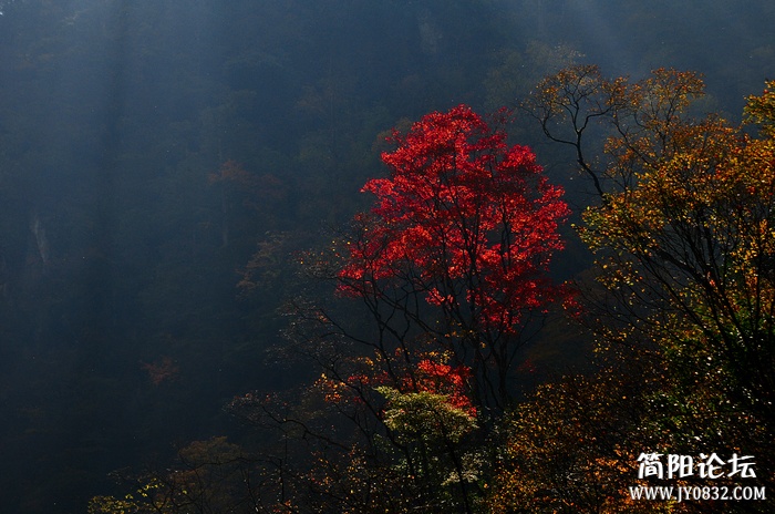 nEO_IMG_DSC_5648副本.jpg