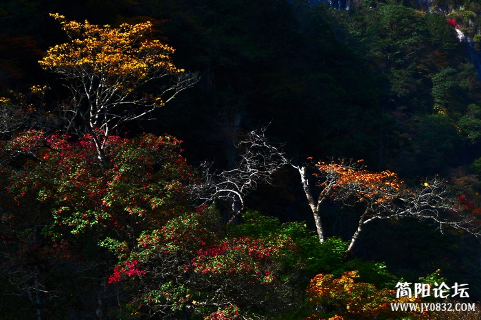 nEO_IMG_DSC_555901副本.jpg