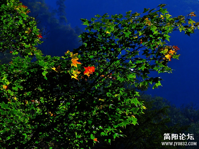 nEO_IMG_DSC_565201副本.jpg