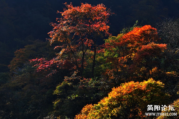 nEO_IMG_DSC_5568011副本.jpg