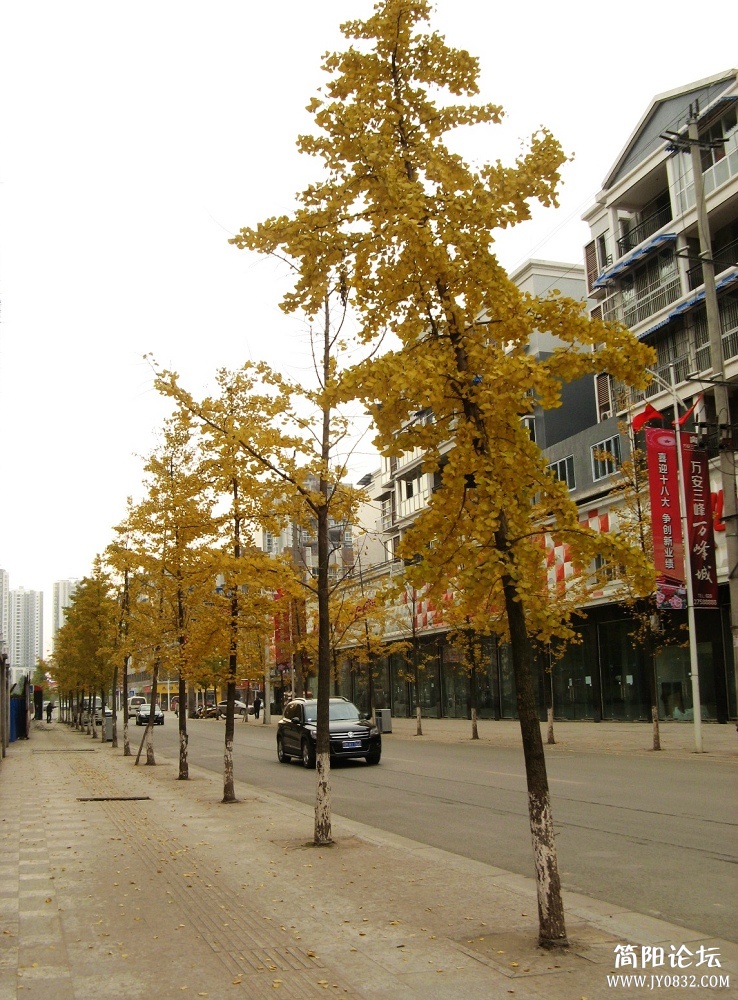 IMG_1125.jpg
