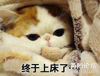 未命名.jpg