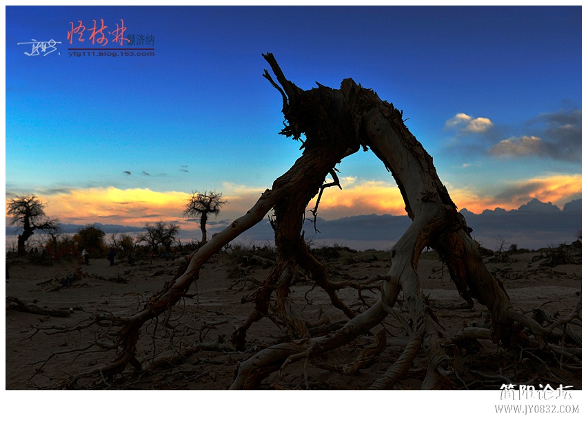 怪树林——08.jpg