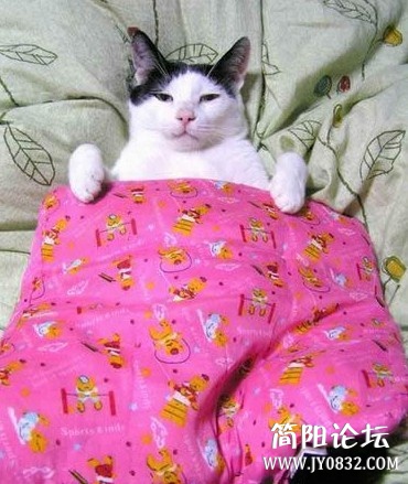 未命名.jpg