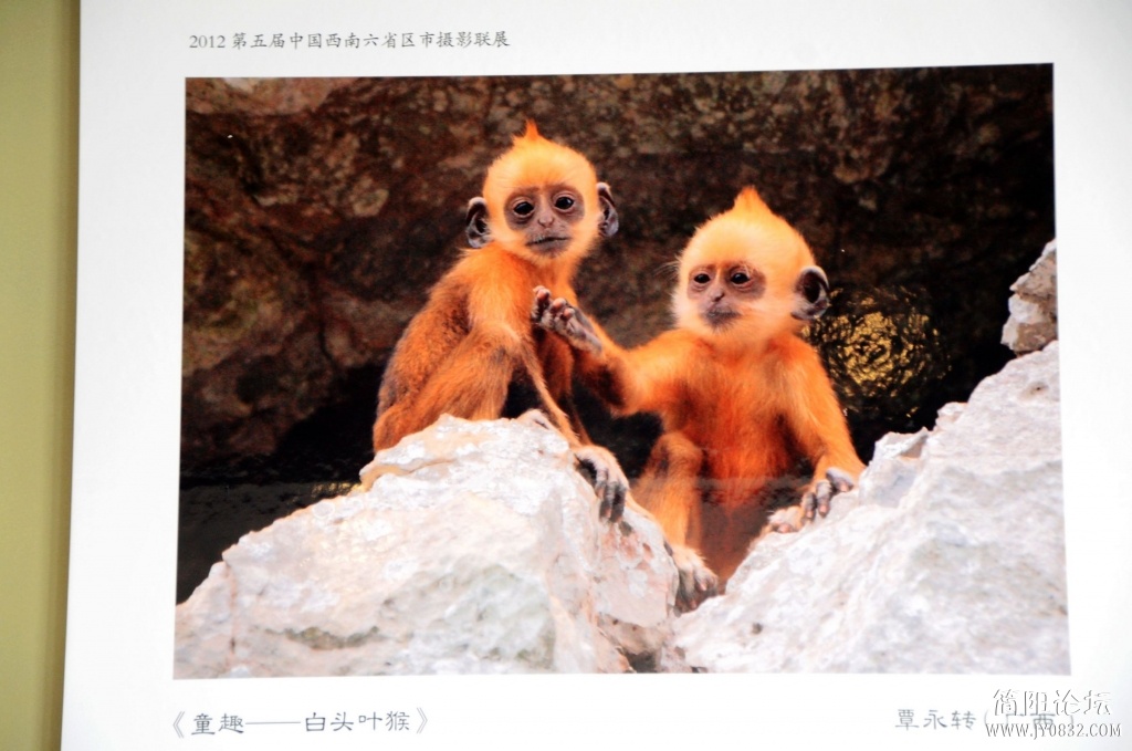 照片 179.jpg