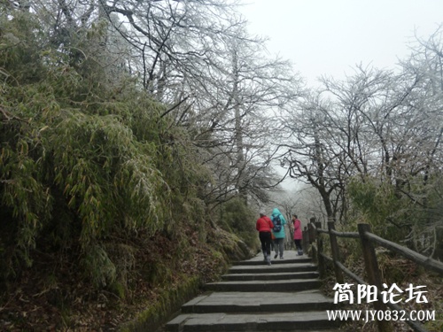 P1080839_副本.jpg