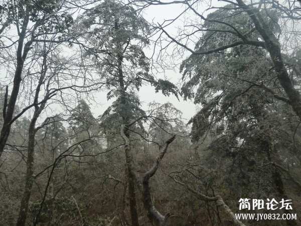 P1080843.jpg