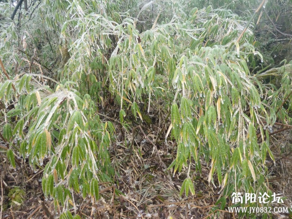 P1080838_副本.jpg