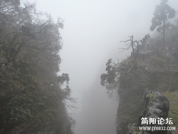 P1080845.jpg