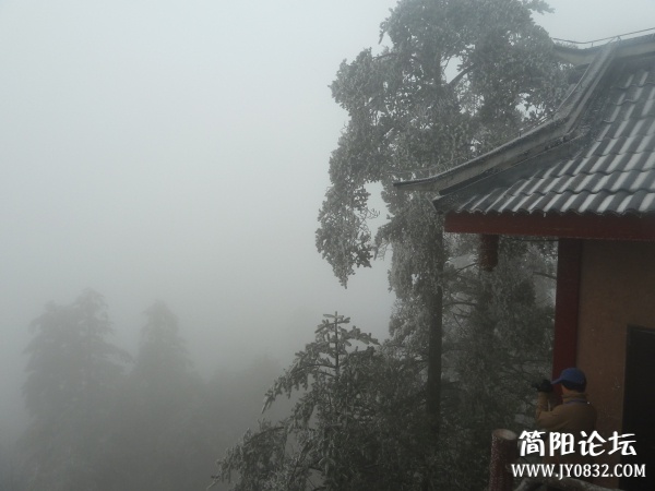 P1080858.jpg