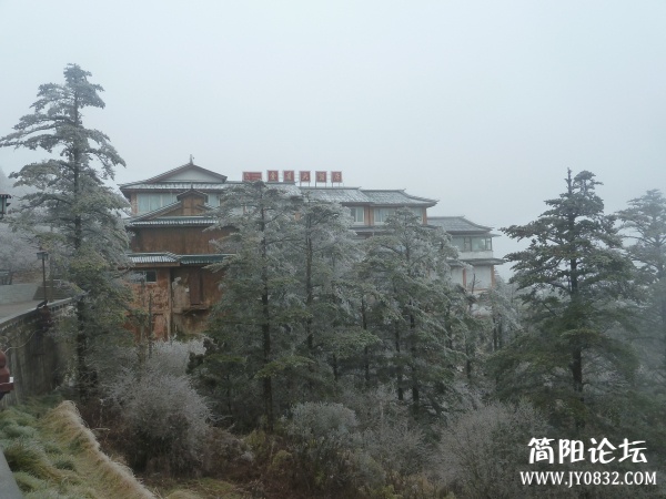 P1080874.jpg
