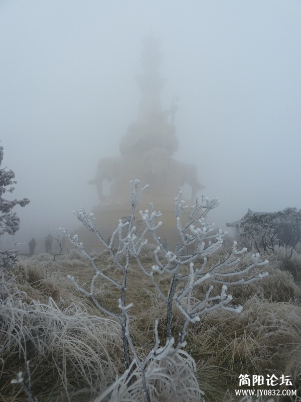 P1080894_副本.jpg