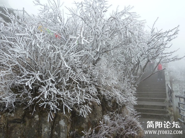 P1080937_副本.jpg