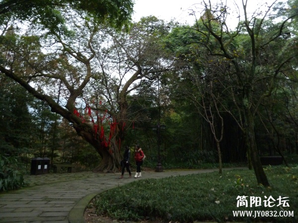 P1080972.jpg