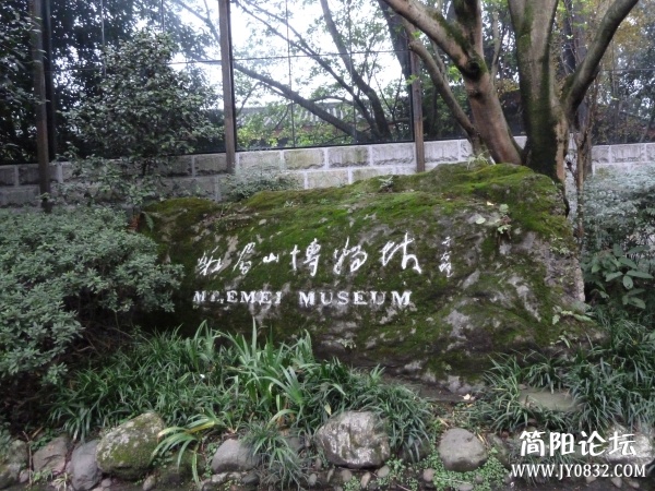 P1080979.jpg