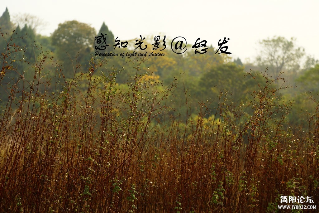 工业园二期