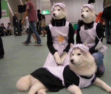 未命名.jpg