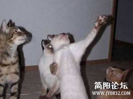 未命名.jpg