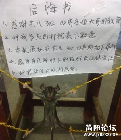 未命名.jpg