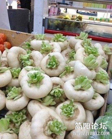 未命名.jpg