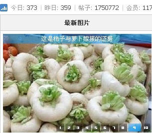 未命名9.jpg