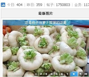 未命名8.jpg