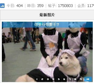 未命名10.jpg