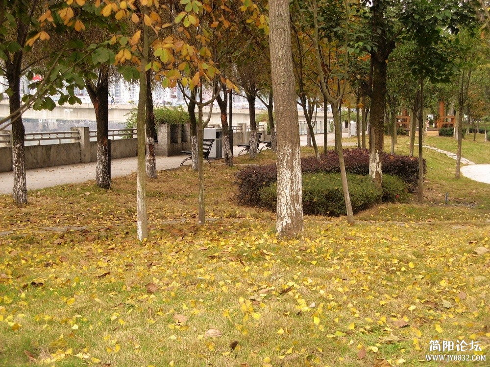 IMG_1208.jpg