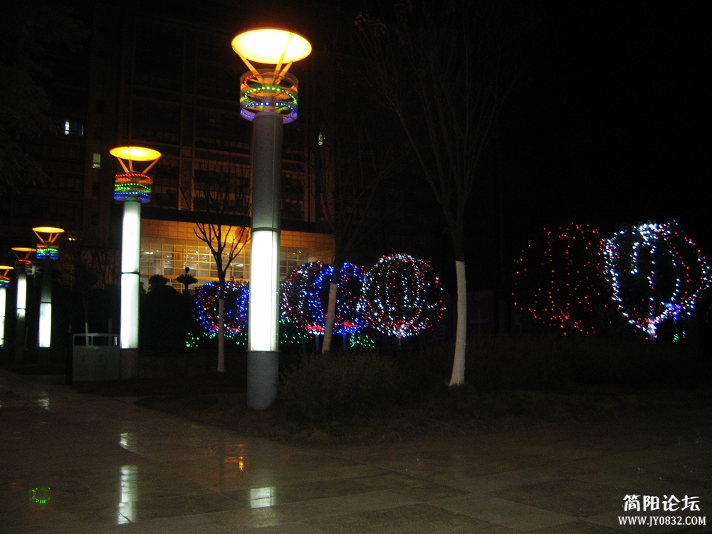 IMG_1571.jpg