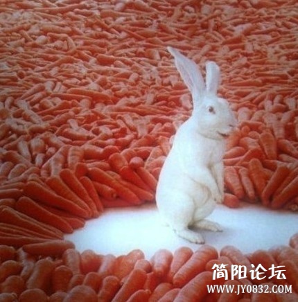 未命名.jpg