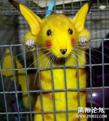 未命名.jpg