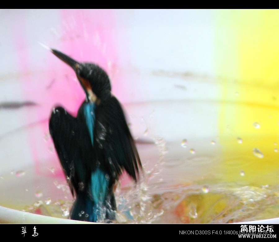 翠12.jpg