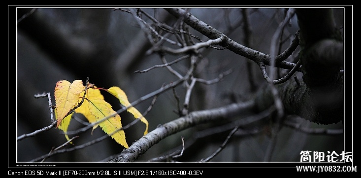 nEO_IMG_IMG_9696.jpg
