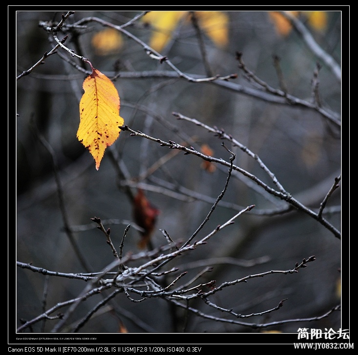 nEO_IMG_IMG_9690.jpg