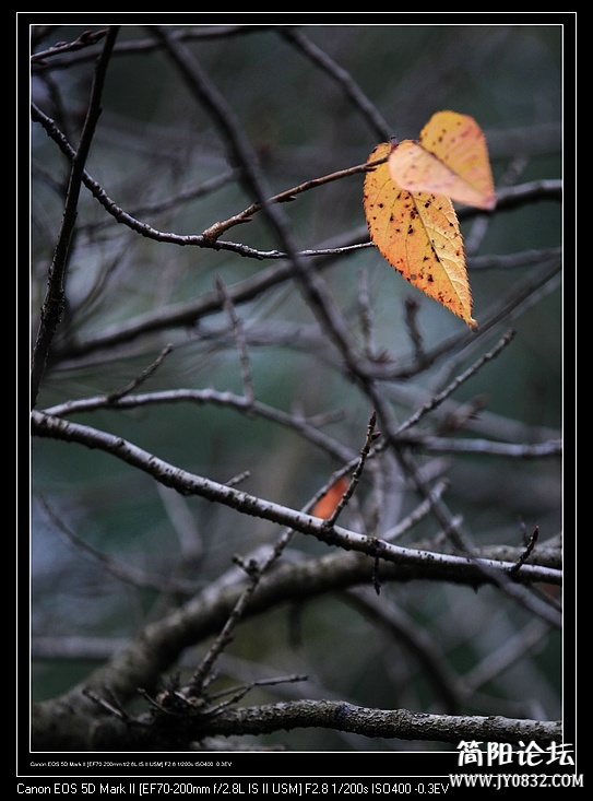 nEO_IMG_IMG_9694.jpg
