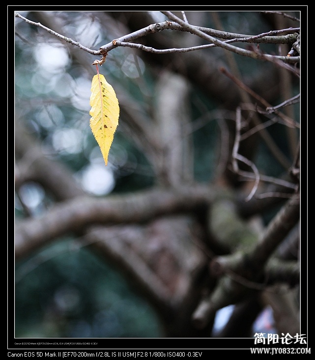 nEO_IMG_IMG_9705.jpg