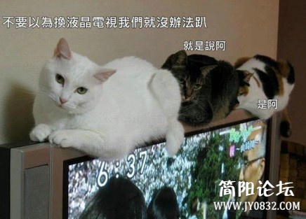 未命名.jpg