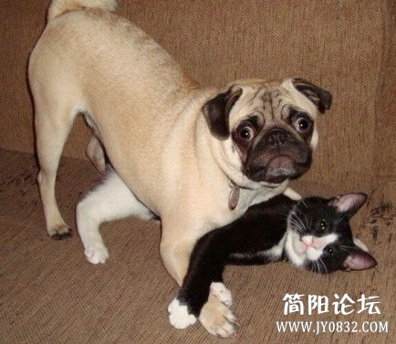 未命名.jpg