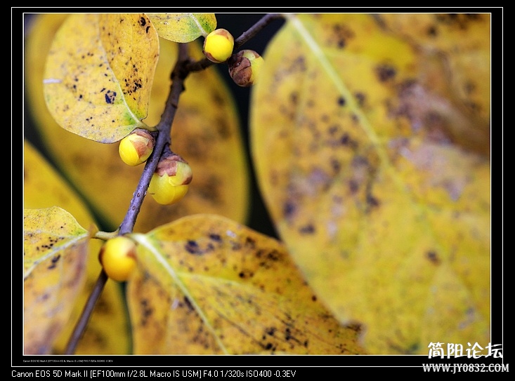nEO_IMG_IMG_9755.jpg